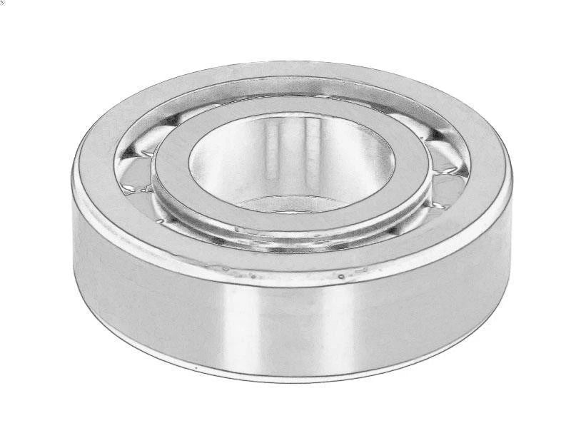 CUSCINETTO ALBERO D'INGRESSO POSTERIORE 1905218